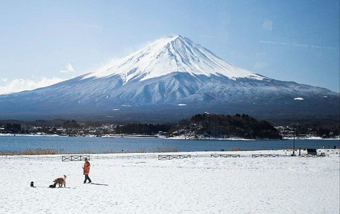 西峡恐龙遗迹园旅游景点攻略图