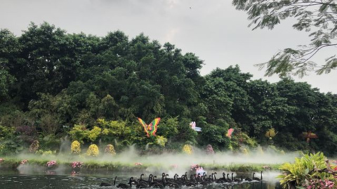 长隆飞鸟乐园旅游景点攻略图