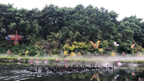 长隆飞鸟乐园旅游景点攻略图