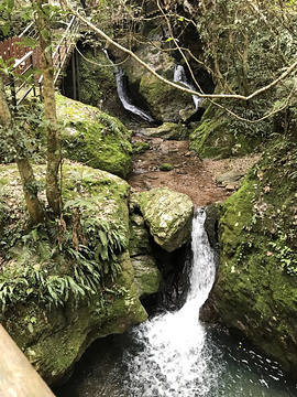 神仙居旅游景点攻略图