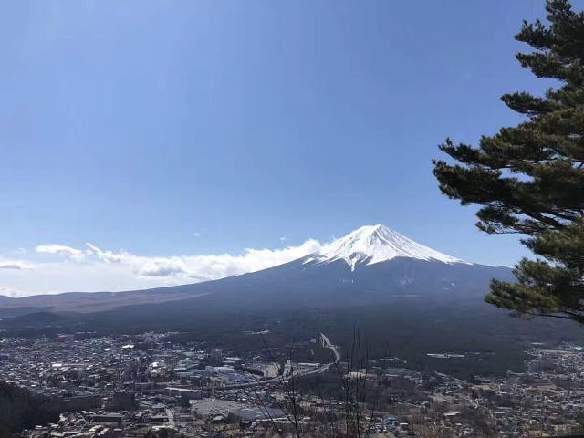 "...东京，富士山远远看去一副岁月静好的样子，河口湖初见，很干净，走了一天的台阶，刷步旅程开启～～～_西峡恐龙遗迹园"的评论图片