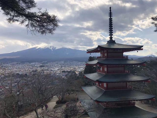 "...东京，富士山远远看去一副岁月静好的样子，河口湖初见，很干净，走了一天的台阶，刷步旅程开启～～～_西峡恐龙遗迹园"的评论图片