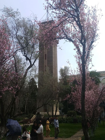 "云南大学是免费的，今天天气好，加上樱花开了，里面好多人，进入后有长台阶，可以看出有些年代了，往..._云南大学"的评论图片