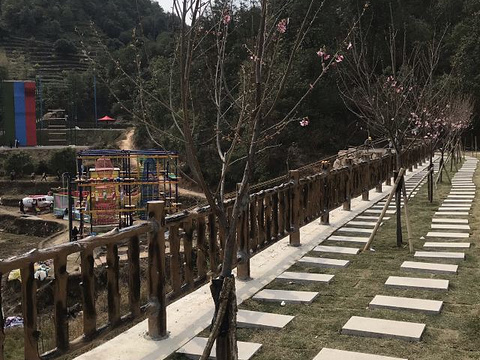 温州樱花园旅游景点图片