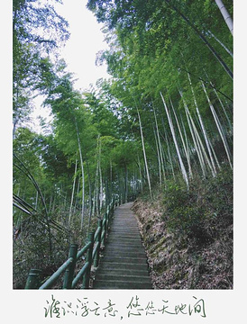 木坑竹海旅游景点攻略图