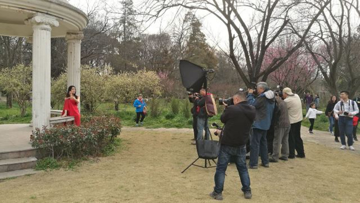 "...圆拱门状，引来很多游客，成了网红景观，不少摄影爱好者还带了麻豆来拍写真，想要画面干净还真不容易_南京中山植物园"的评论图片