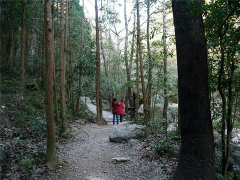 寨寮溪风景区-花岩国家森林公园旅游景点图片