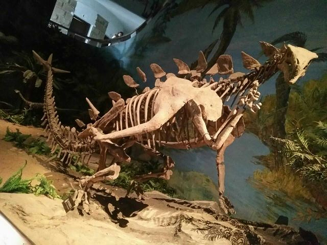 "_自贡恐龙博物馆"的评论图片