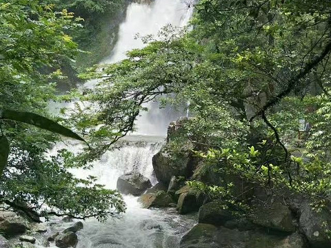 神农谷国家森林公园旅游景点图片