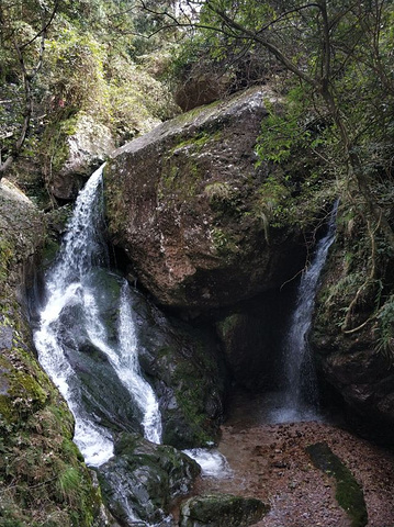 "步行登山强烈建议走北门，景色还可以，南门的话就是纯爬台阶_神仙居"的评论图片