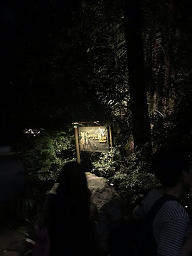 新加坡夜间野生动物园旅游景点攻略图