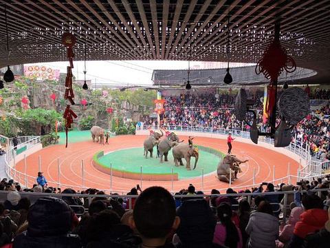 上海野生动物园旅游景点攻略图