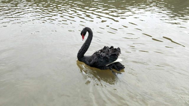 龙岩梅花山虎园