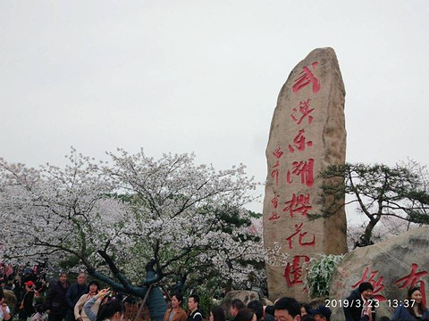 东湖樱花园旅游景点攻略图