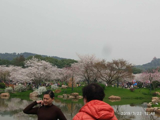 "_东湖樱花园"的评论图片