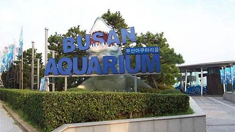 釜山水族馆旅游景点攻略图