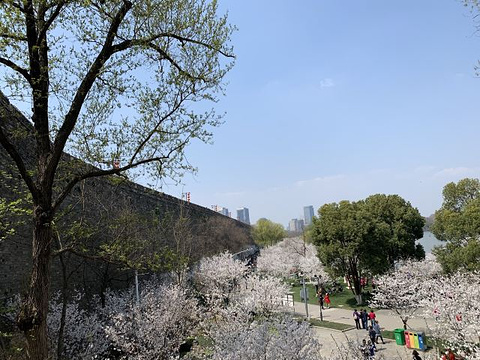 玄武湖景区旅游景点攻略图