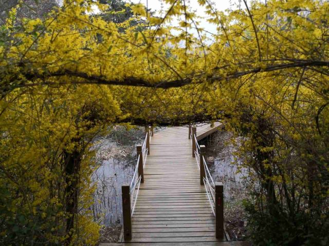 冠山风景旅游区