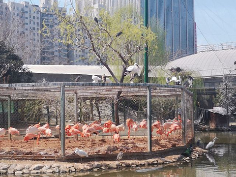 郑州市动物园旅游景点攻略图