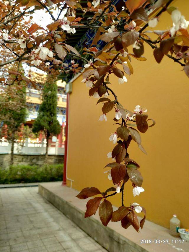 天紫湖生态度假区