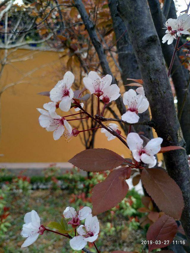 天紫湖生态度假区