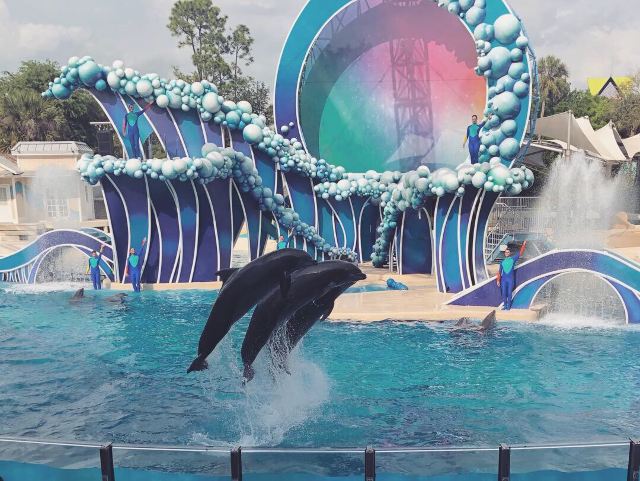奥兰多海洋世界
