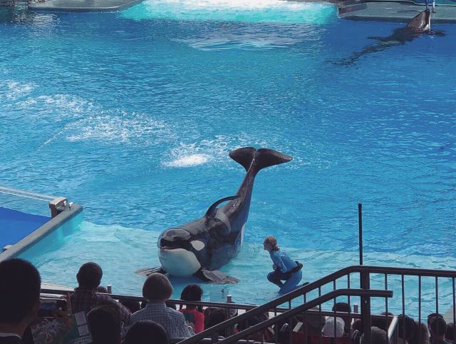 奥兰多海洋世界