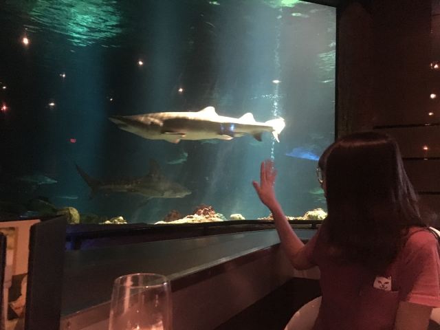 奥兰多海洋世界