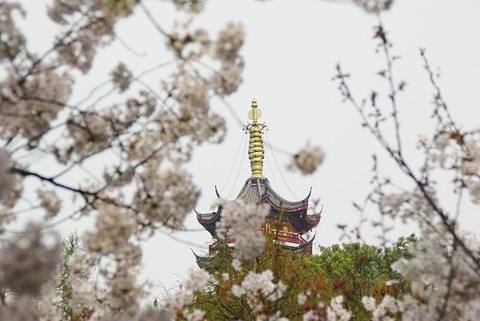 鸡鸣寺旅游景点攻略图