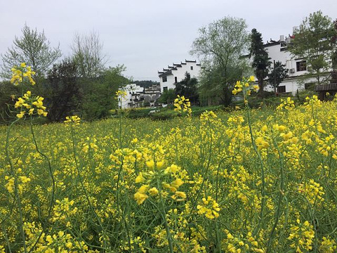 思溪延村旅游景点攻略图