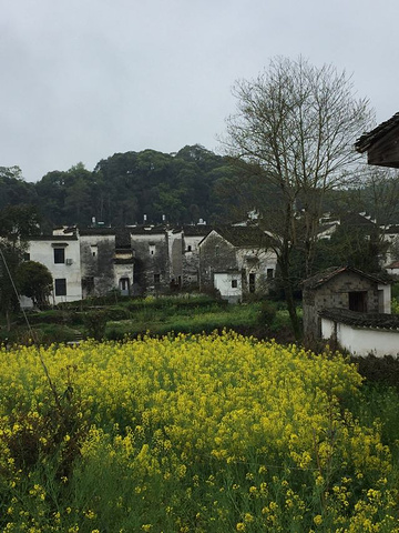 "非常值得！思溪景区虽小但还挺有历史，值得一游。银库的防盗设计、百寿厅的木雕喻意在导游的讲解下记忆犹新_思溪延村"的评论图片