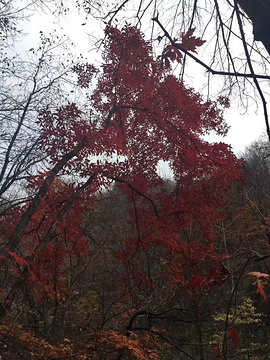 关门山国家森林公园旅游景点攻略图