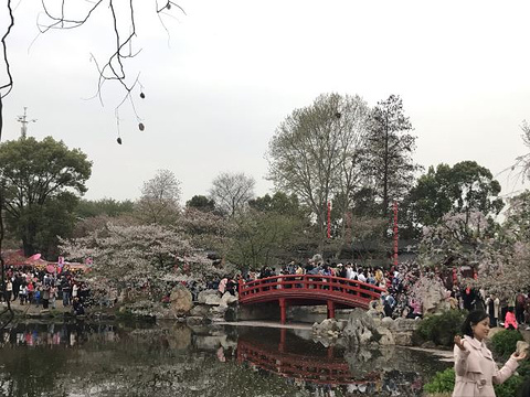 东湖樱花园旅游景点攻略图