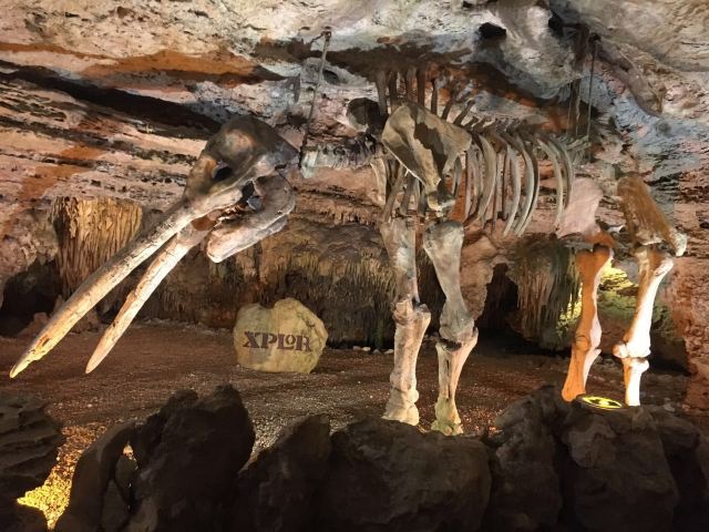 西普洛玛雅探险乐园