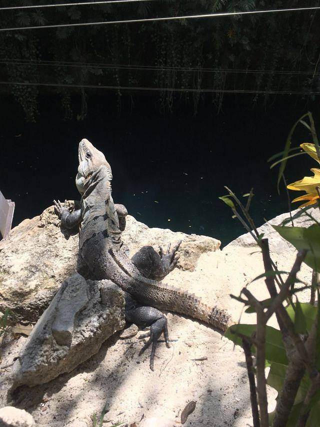 西普洛玛雅探险乐园