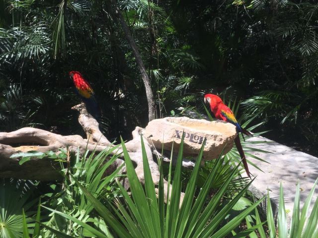 西普洛玛雅探险乐园