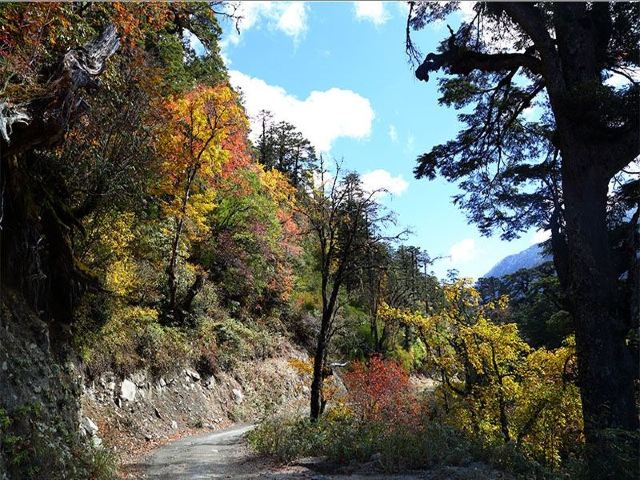 高黎贡山国家级自然保护区