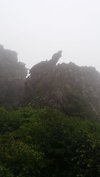 神农顶风景区旅游景点攻略图