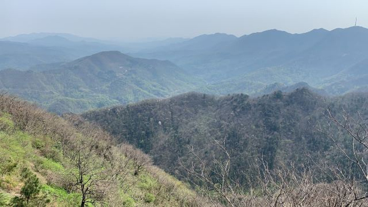 "_大洪山琵琶湖风景区"的评论图片