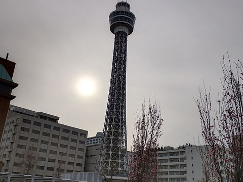 横滨海洋塔旅游景点图片