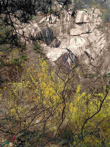 "_沂蒙山云蒙景区(蒙山国家森林公园)"的评论图片