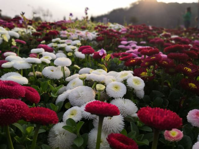 农夫山泉(淳安生产基地)