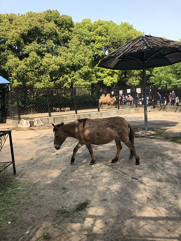 "_武汉动物园"的评论图片