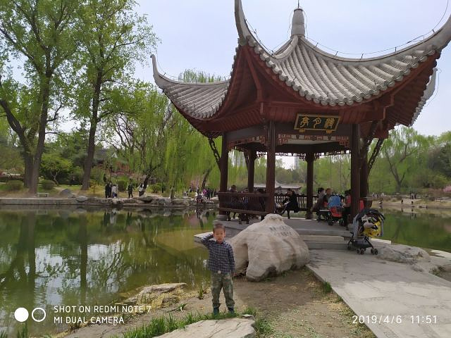 "里面不是很大，适合三个小时左右的行程，漫步走在里面的林荫小道，加上海棠花盛开的季节，里面很漂亮..._陶然亭公园"的评论图片