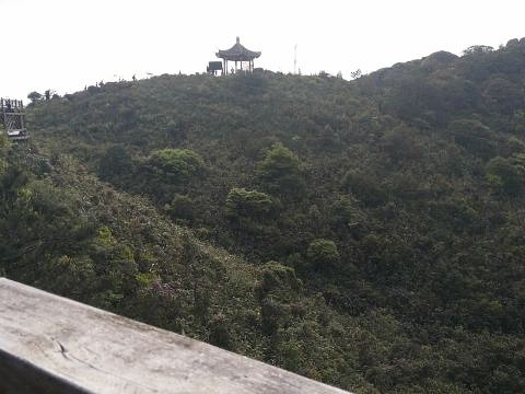 梅花山中国虎园旅游景点图片