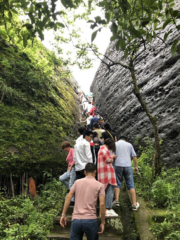 "_冠豸山国家级风景名胜区"的评论图片