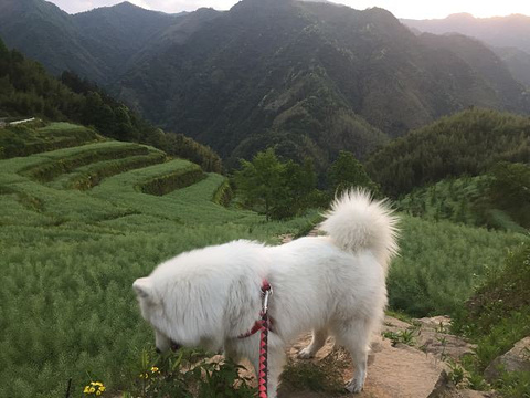 太湖源旅游景点攻略图