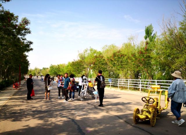 黄河三盛公水利风景区