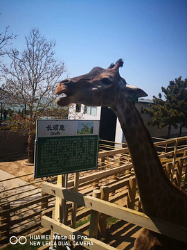 西霞口神雕山野生动物园旅游景点攻略图