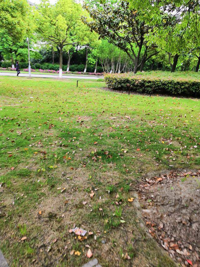 广州市麓湖公园